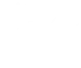 VSME Grappling